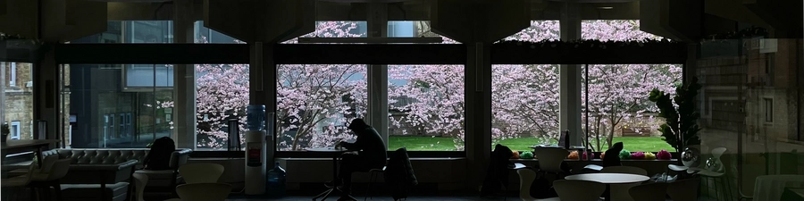 Blossom